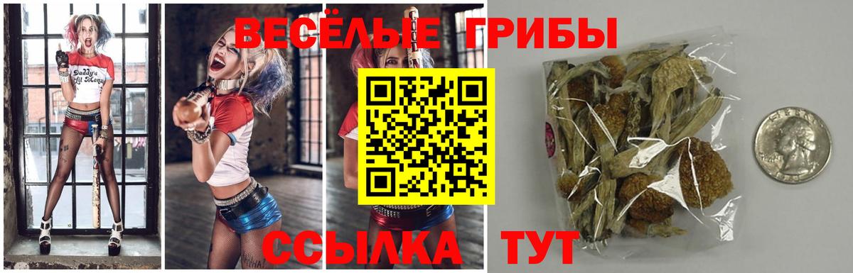 Галлюциногенные грибы прущие грибы  Галлюциногенные грибы Cubensis  Вход с VPN  Гусев 